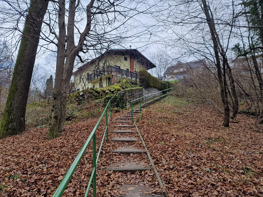 Slika je vidna v Google Chromu.