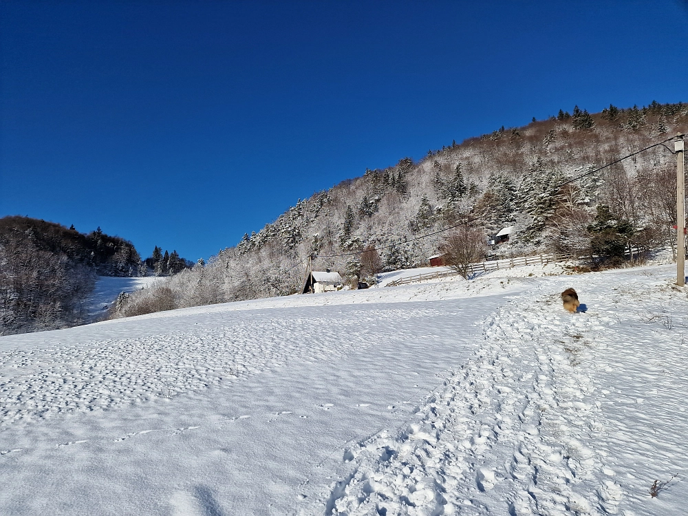 Slika je vidna v Google Chromu.