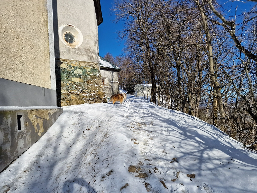 Slika je vidna v Google Chromu.