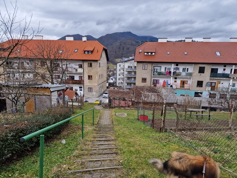 Slika je vidna v Google Chromu.