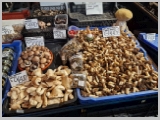 Slika_050.webp
