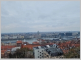 Slika_110.webp