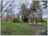 Slika_132.webp