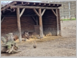Slika_139.webp