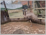 Slika_141.webp