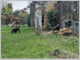 Slika_158.webp