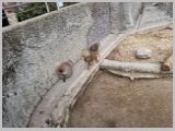 Slika_163.webp