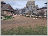 Slika_167.webp