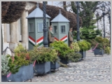 Slika_182.webp