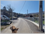 Slika_008.webp