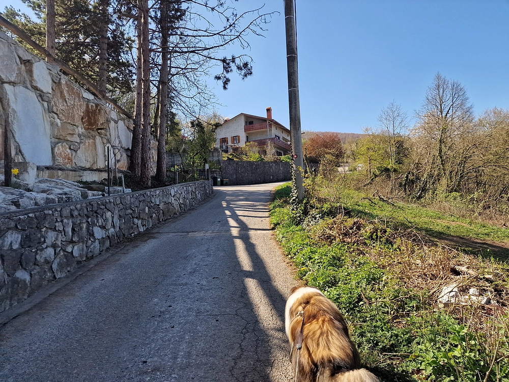 Slika je vidna v Google Chromu.
