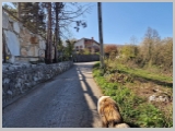 Slika_009.webp