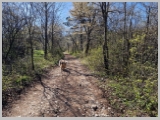 Slika_015.webp