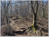 Slika_022.webp