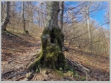 Slika_023.webp