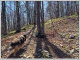 Slika_026.webp