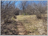 Slika_027.webp