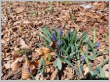 Slika_028.webp