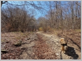 Slika_038.webp