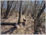 Slika_049.webp