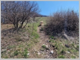 Slika_054.webp