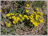 Slika_056.webp