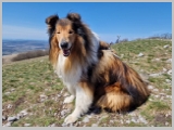Slika_062.webp