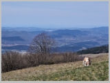 Slika_072.webp