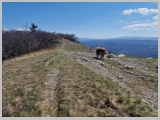 Slika_074.webp