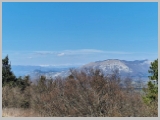 Slika_079.webp
