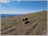 Slika_083.webp