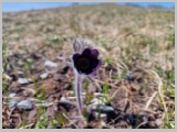 Slika_086.webp