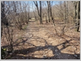 Slika_094.webp