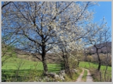 Slika_112.webp