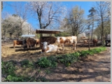 Slika_114.webp