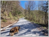 Slika_003.webp