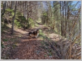 Slika_005.webp