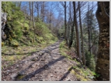 Slika_006.webp