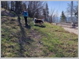 Slika_011.webp