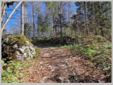 Slika_012.webp