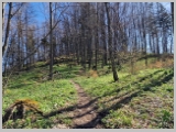 Slika_013.webp