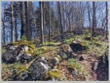 Slika_014.webp
