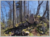 Slika_016.webp
