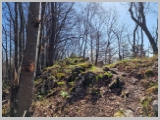 Slika_017.webp