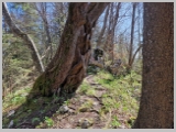 Slika_018.webp