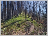 Slika_019.webp