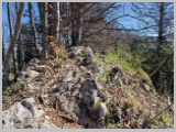 Slika_021.webp