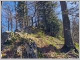 Slika_022.webp