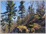 Slika_024.webp