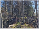 Slika_025.webp